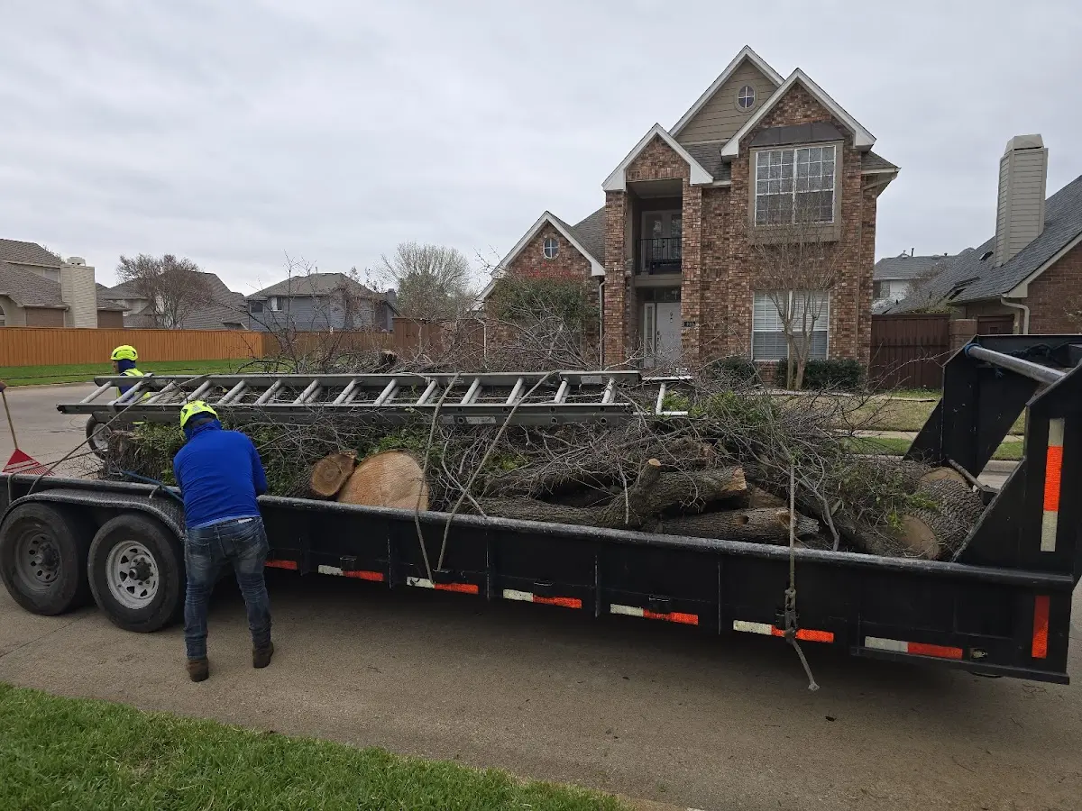 Expert Tree Fertilization with proper safety equipment in Crawford